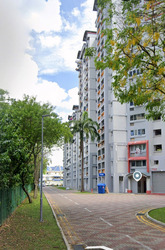Blk 687 Choa Chu Kang Drive (Choa Chu Kang), HDB 4 Rooms #612004401